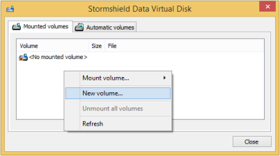 Creating a virtual disk: new volume