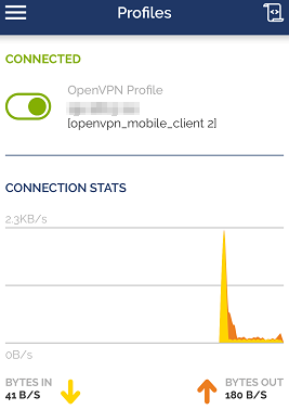 Window for profiles on OpenVPN Connect for Windows