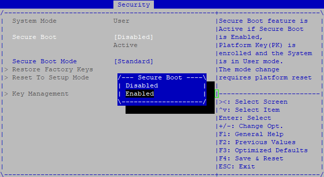 Image de la fenêtre d'activation de Secure Boot dans le BIOS d'un firewall SNS