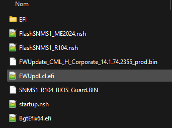 Contents of the SNMS1_R104_BIOS_Guard.zip archive 