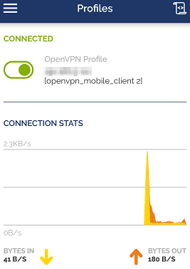 Fenêtre des profils sur OpenVPN Connect pour Windows
