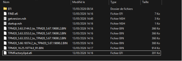 Exemple de contenu présent à la racine de la clé USB de mise à jour du firmware du module TPM