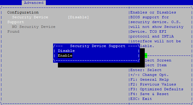 Image de la fenêtre d'activation du module TPM dans le BIOS d'un firewall SNS